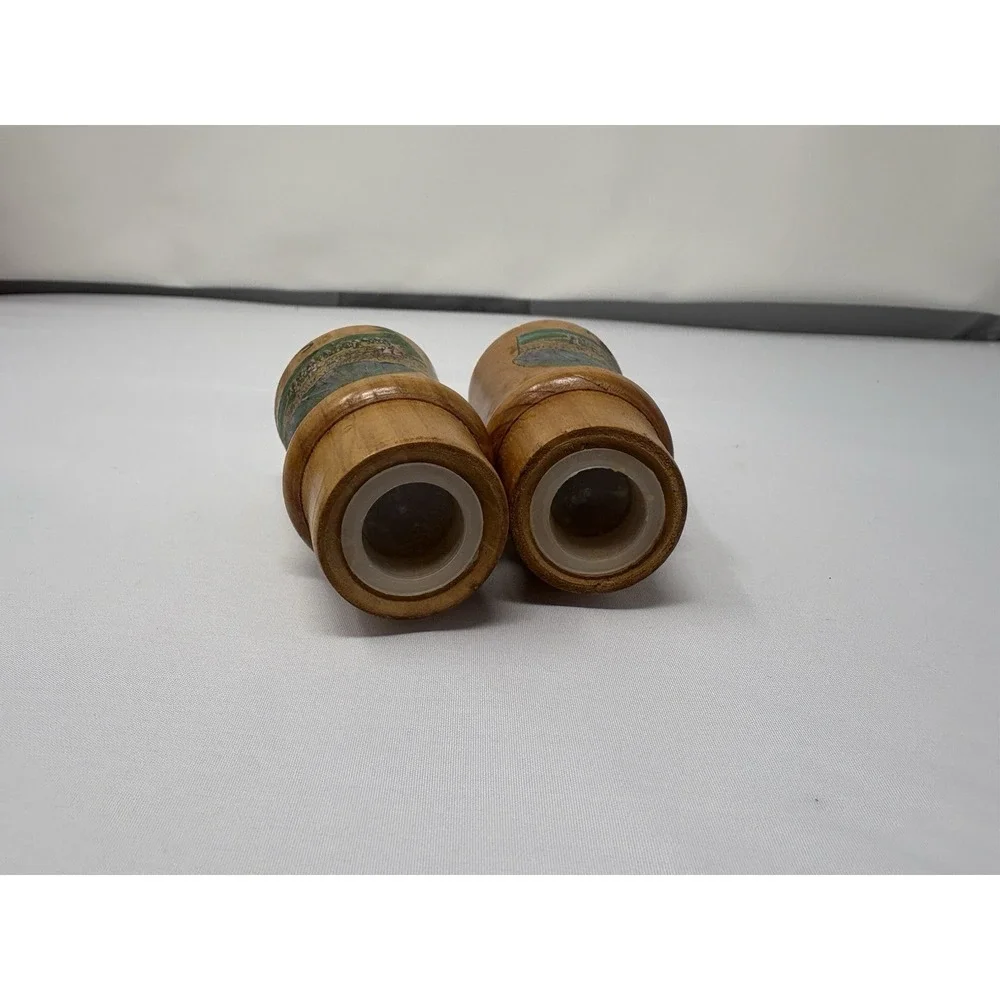 Vintage Mid Century Wooden Salt & Pepper Shakers Landscape Tourist Souvenir
